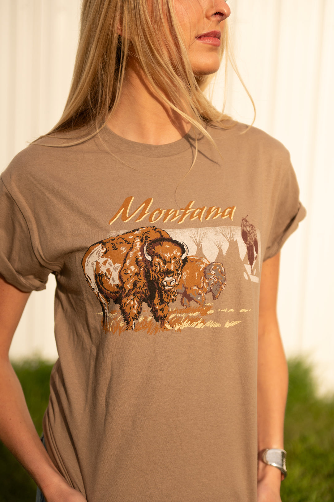 BISON NOMADS