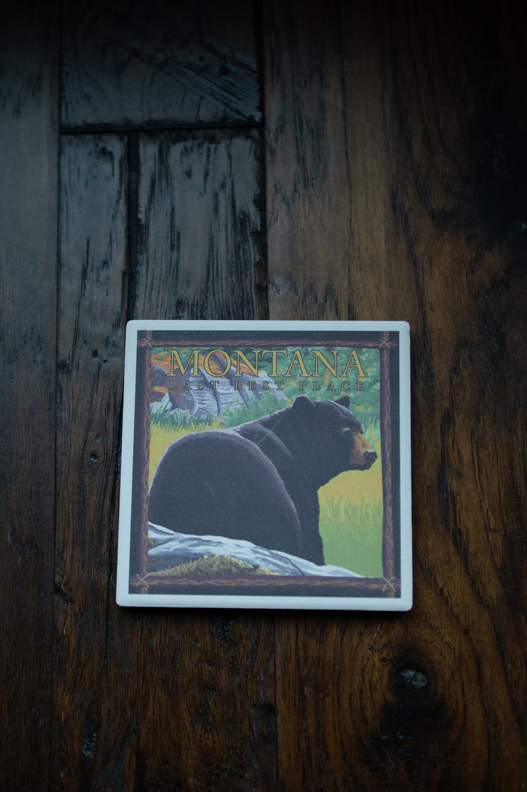 LP BLK BEAR IN FOREST COASTER