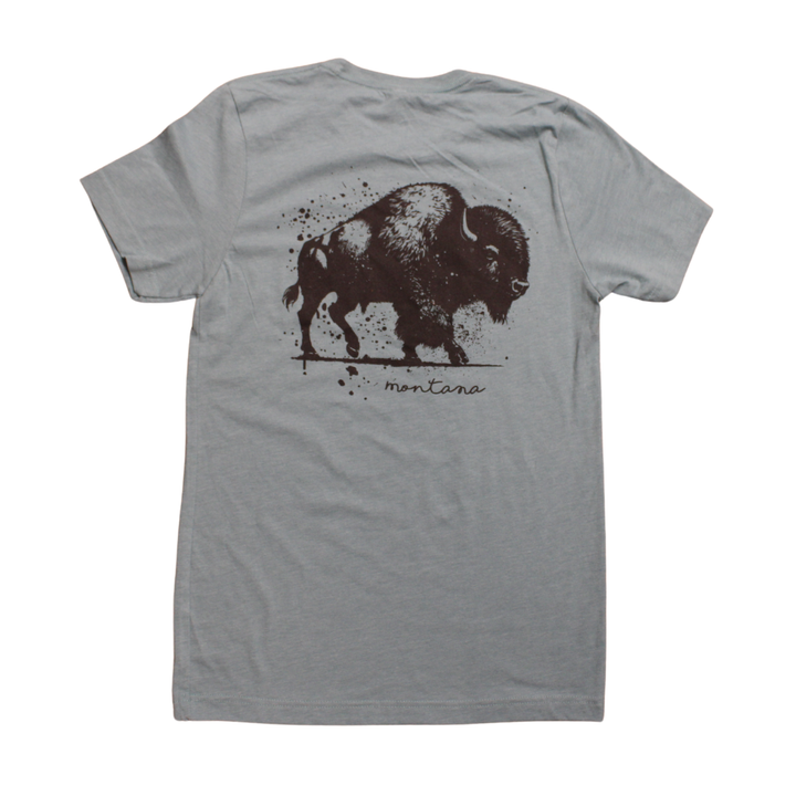 BISON PAINT SS BLUE