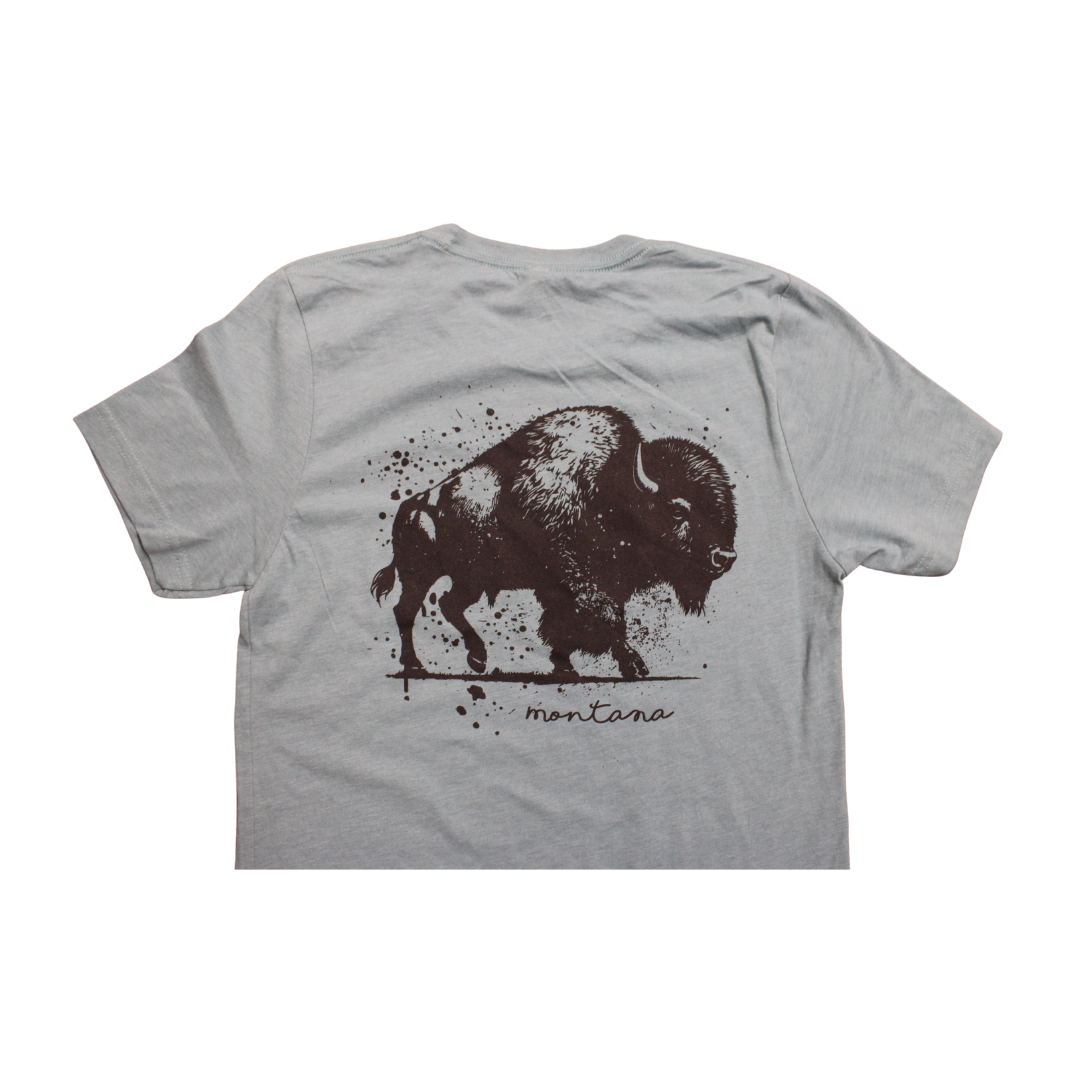 BISON PAINT SS BLUE