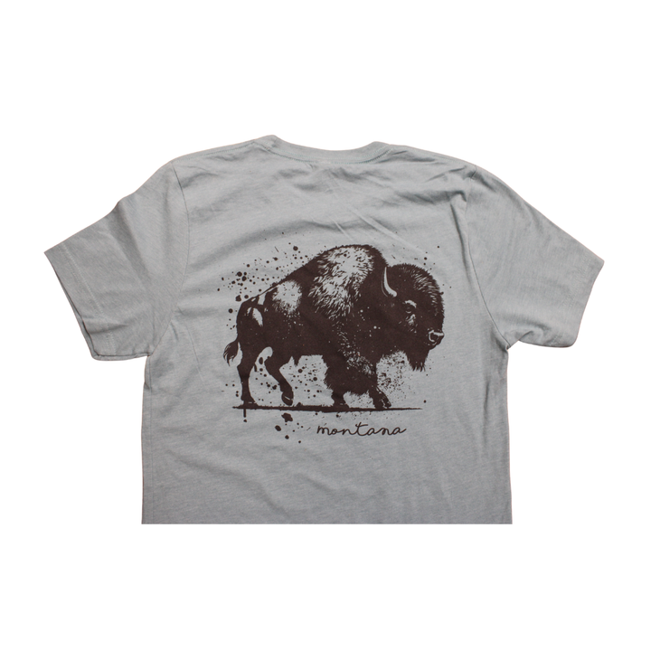 BISON PAINT SS BLUE