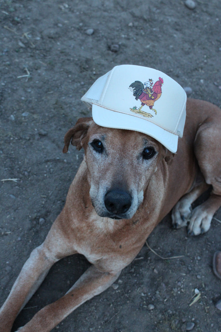 FRIN CODY ROOST HAT