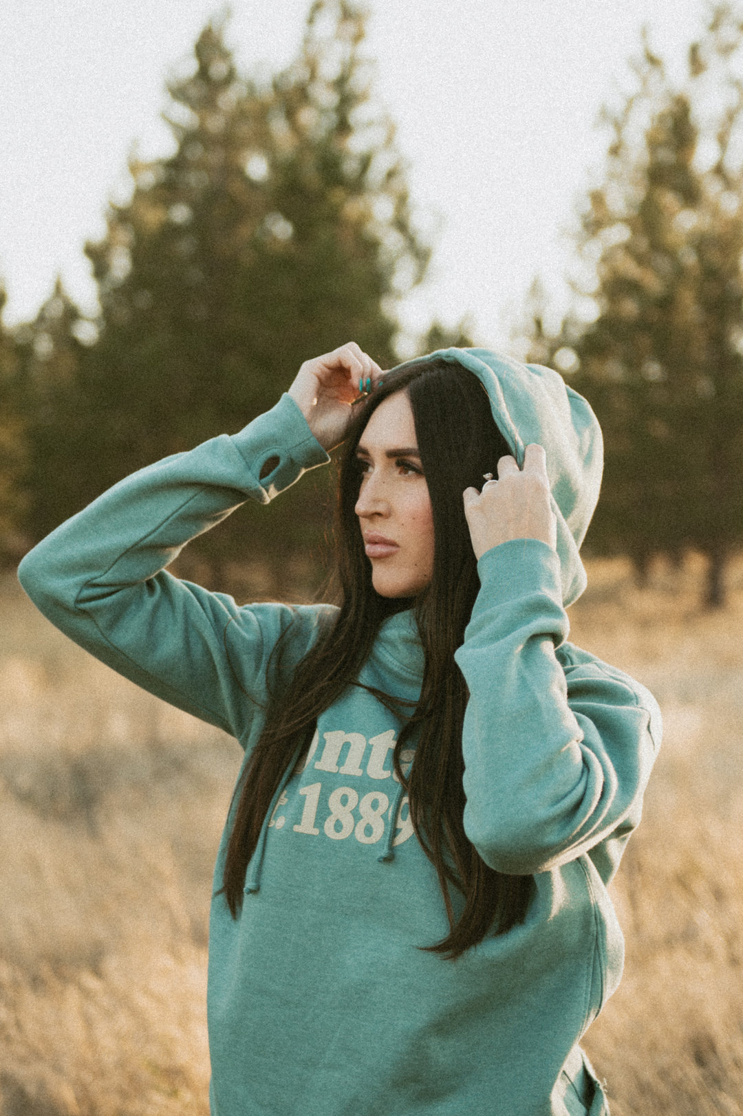 MT TEAL HDY SALE