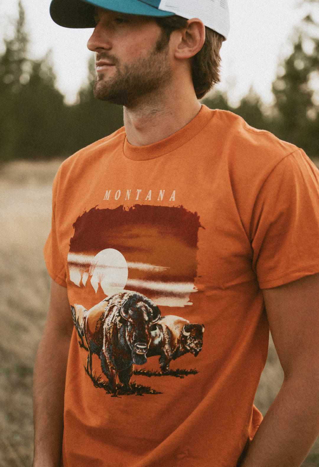 SUNSET BISON