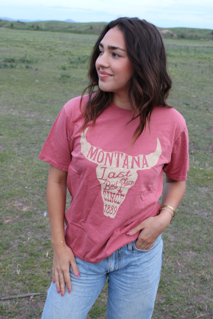 LAKE MT HORN PINK