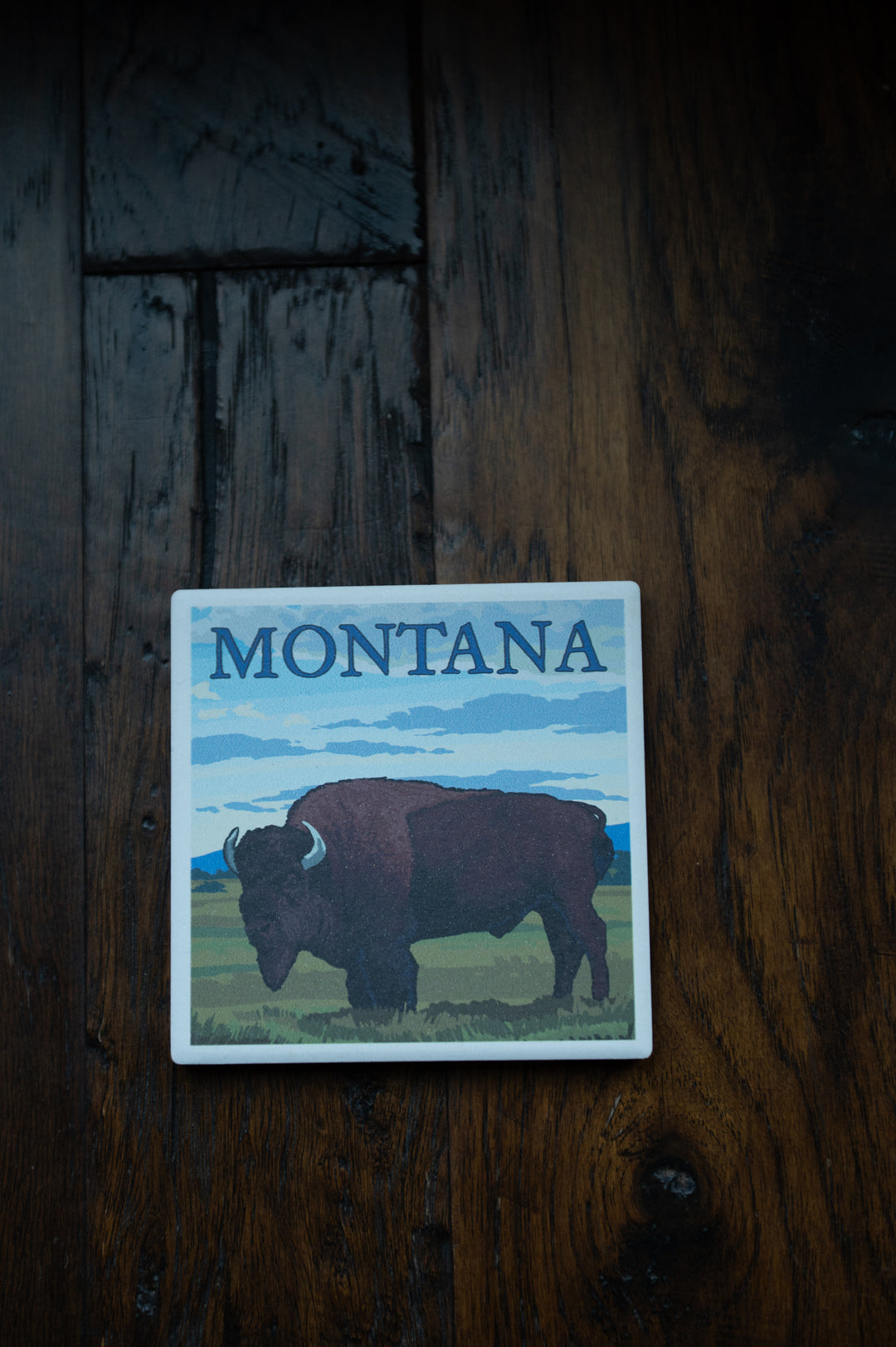 LP BISON FIELD COAST